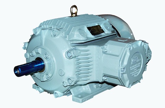 kdhandapani-blog-CG - Flame Proof Motors